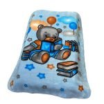 ΚΟΥΒΕΡΤΑ ΒΕΛΟΥΤΕ ΠΟΛΥΤΕΛΕΙΑΣ bebe Studying Bear 36 110X140 Baby Blue 100% Polyester