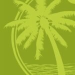 Πετσέτα Θαλάσσης Βελουτέ Ζακάρ Αιγυπτιακή 420 gsm 224 87X165 100% Cotton